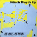 Enigma – Which Way Is Up (LP, Vinyl Record Album)