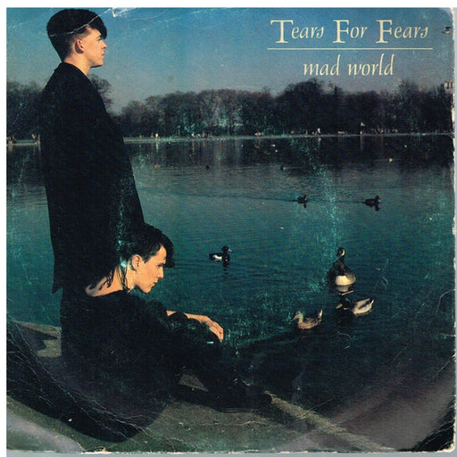 Tears For Fears – Mad World (LP, Vinyl Record Album)