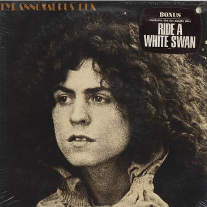 Tyrannosaurus Rex – A Beard Of Stars (LP, Vinyl Record Album)