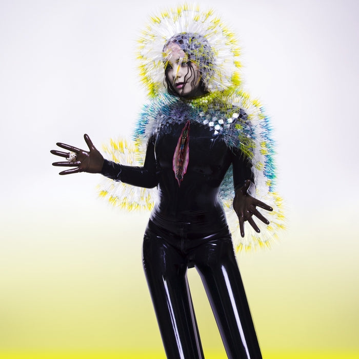 Björk – Vulnicura (2xLP) (LP, Vinyl Record Album)