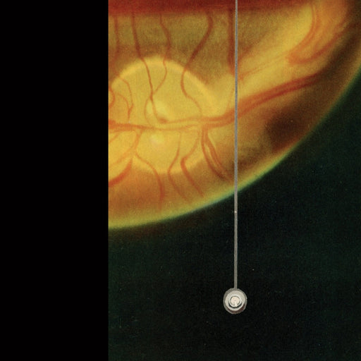 David Brown, James Clayden – Plant Hunting In Japan (LP, Vinyl Record Album)