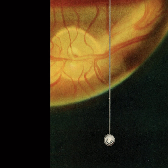 David Brown, James Clayden – Plant Hunting In Japan (LP, Vinyl Record Album)