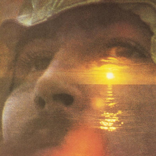 David Crosby – If I Could Only Remember My Name (2xLP, 180g, 45RPM, Analogue Productions Atlantic 75 Series) LP vinyl record, image 1 of 2