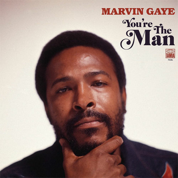 You're The Man – Marvin Gaye (2xLP) LP vinyl record
