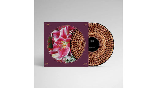 Richard Hawley – Coles Corner (20th anniversary, Picture Disc Edition) - Image 1