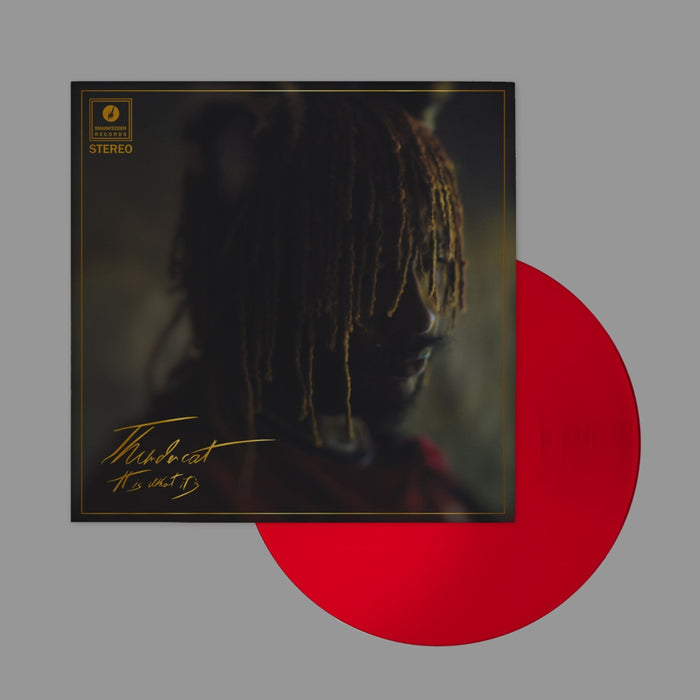 Thundercat – It Is What It Is (Red vinyl) LP vinyl record, image 2 of 2