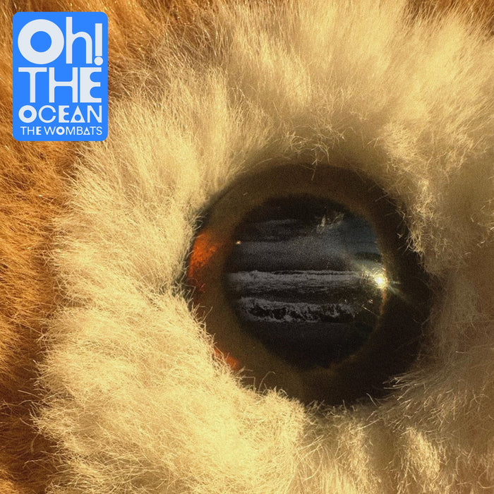 The Wombats – Oh! The Ocean LP vinyl record