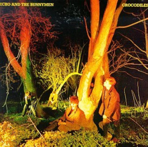 Echo & The Bunnymen – Crocodiles LP vinyl record, image 1 of 3