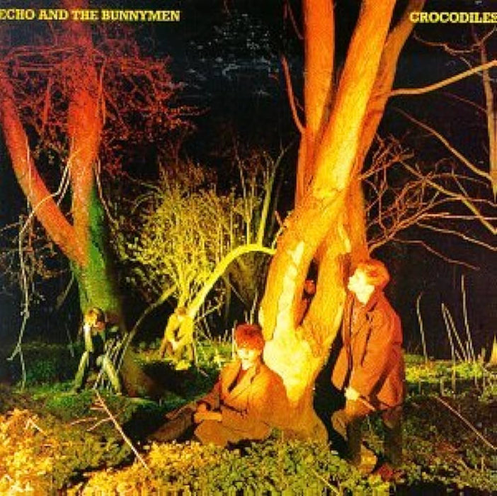 Echo & The Bunnymen – Crocodiles LP vinyl record, image 1 of 3