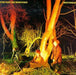Echo & The Bunnymen – Crocodiles LP vinyl record, image 1 of 3