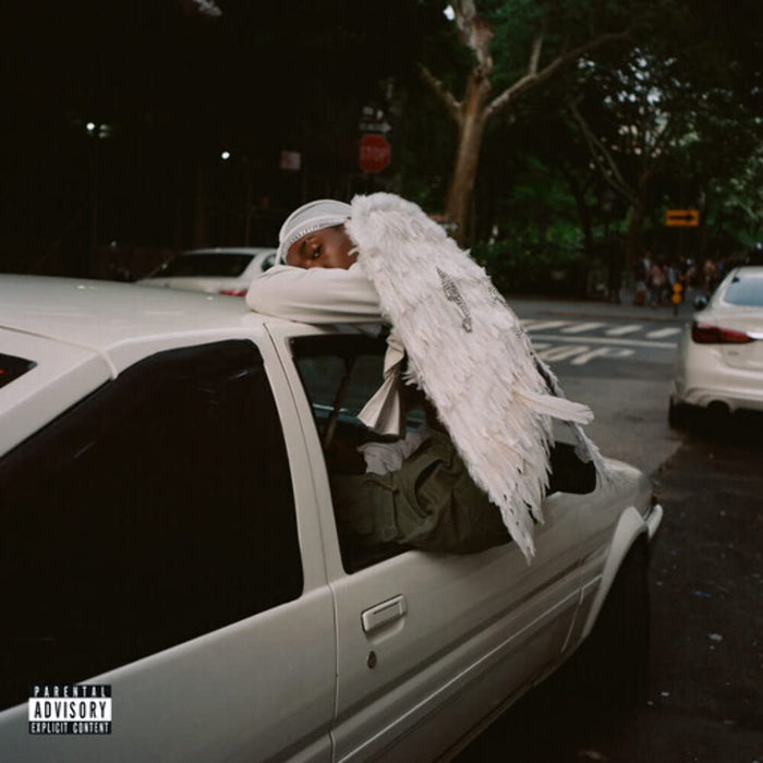 Blood Orange – Negro Swan (2xLP) LP vinyl record, image 1 of 3
