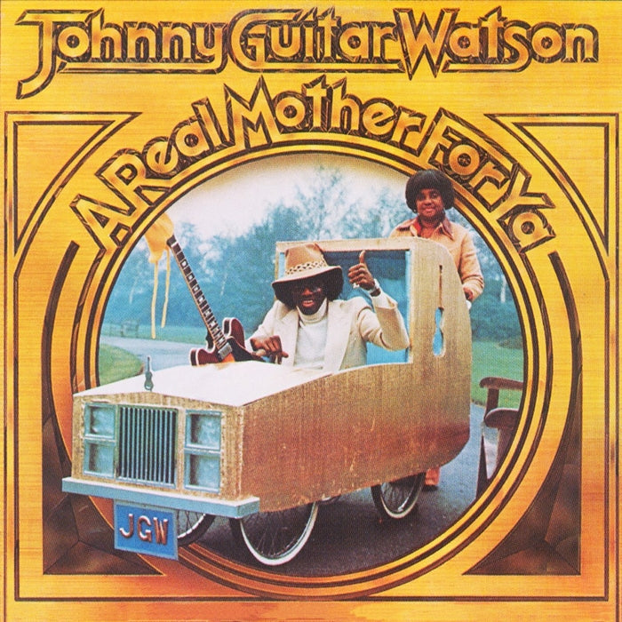 Johnny Guitar Watson – A Real Mother For Ya (LP, Vinyl Record Album)