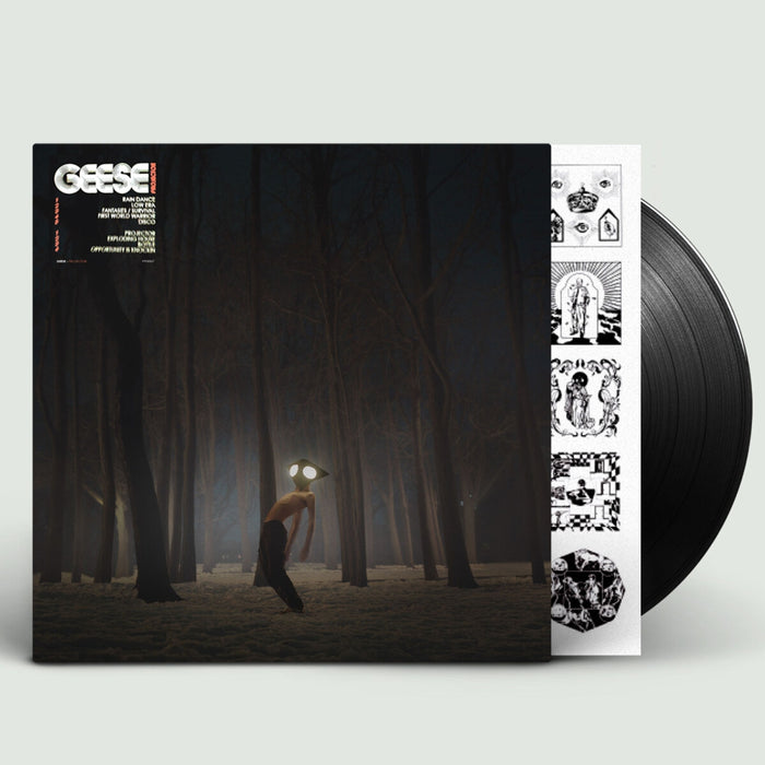 Geese – Projector - Image 2