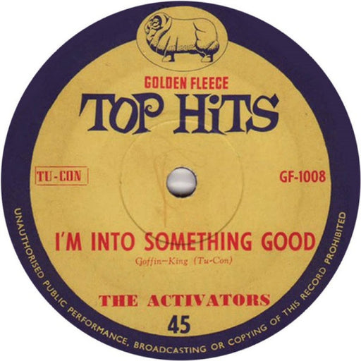 The Activators, Paul Rich – I'm Into Something Good / I Wouldn't Trade You For The World (LP, Vinyl Record Album)