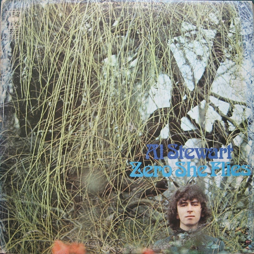 Al Stewart – Zero She Flies (LP, Vinyl Record Album)