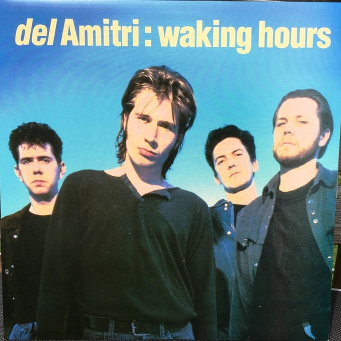 Del Amitri – Waking Hours (LP, Vinyl Record Album)