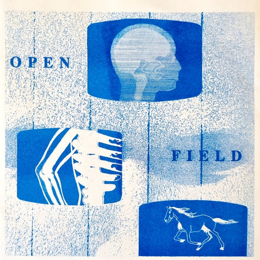 Eggy – Open Field (LP, Vinyl Record Album)