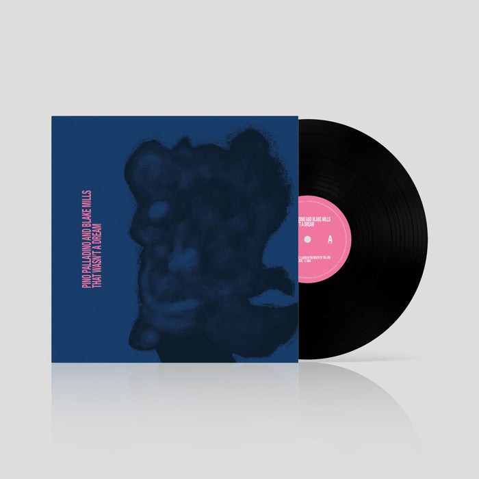 Pino Palladino, Blake Mills – That Wasn't A Dream - Image 2