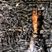 Siouxsie & The Banshees – Juju LP vinyl record, image 2 of 3