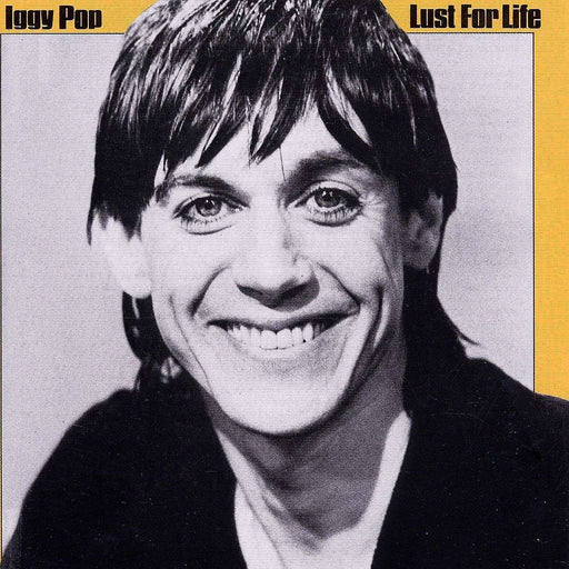 Lust For Life – Iggy Pop LP vinyl record, image 1 of 2