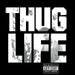Thug Life – Volume 1 LP vinyl record, image 1 of 3