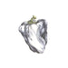 Ween – White Pepper (Green vinyl) - Image 1