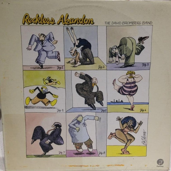 David Bromberg Band – Reckless Abandon (LP, Vinyl Record Album)