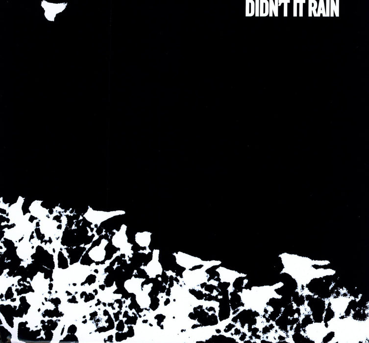 Songs: Ohia – Didn't It Rain (2xLP) LP vinyl record