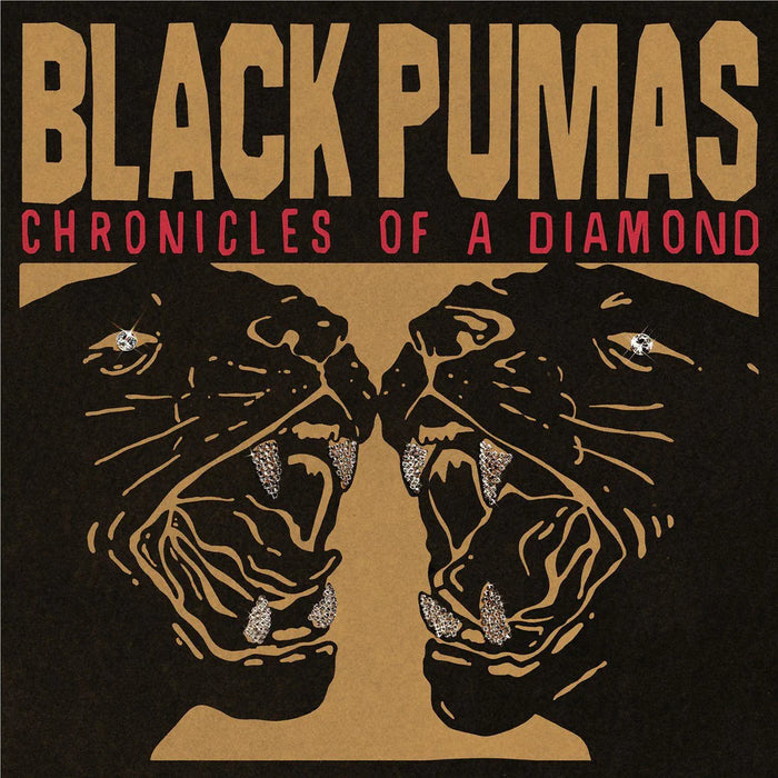 Black Pumas – Chronicles Of A Diamond (Clear Vinyl) - Image 1