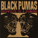 Black Pumas – Chronicles Of A Diamond (Clear Vinyl) - Image 1