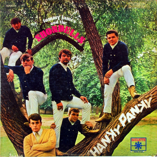 Tommy James & The Shondells – Hanky Panky (LP, Vinyl Record Album)