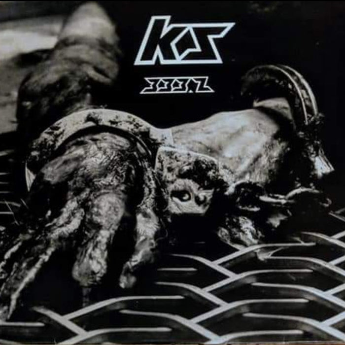 Various – KS 333.2 (LP, Vinyl Record Album)