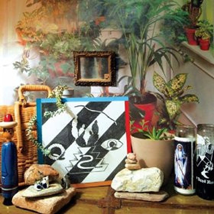 The Young – Chrome Cactus (LP, Vinyl Record Album)