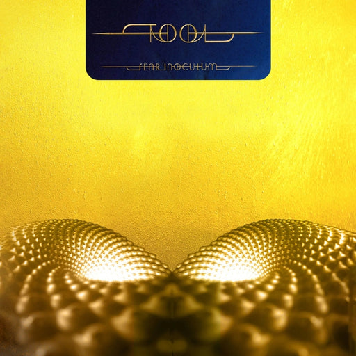 Tool – Fear Inoculum (LP, Vinyl Record Album)