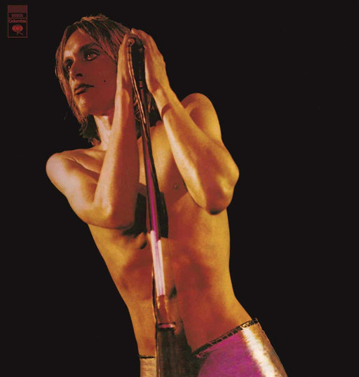 The Stooges – Raw Power (2xLP) LP vinyl record, image 1 of 2