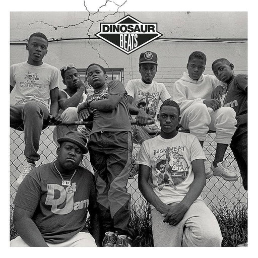 Various – Dinosaur Beats (2xLP) LP vinyl record