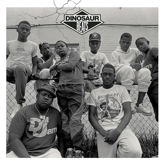 Various – Dinosaur Beats (2xLP) LP vinyl record