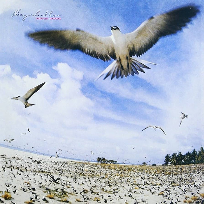 Masayoshi Takanaka – Seychelles (Sky Blue vinyl) - Image 1