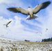 Masayoshi Takanaka – Seychelles (Sky Blue vinyl) - Image 1