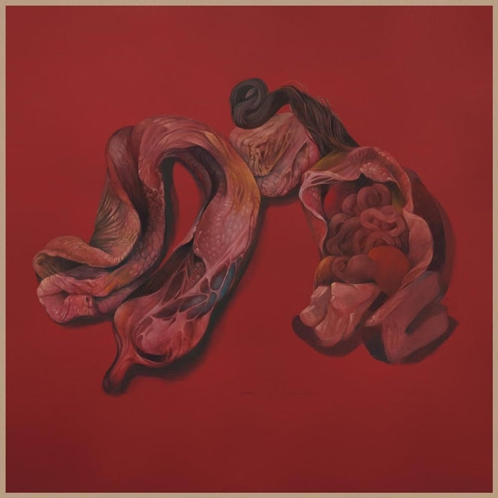 Narcosatanicos – Body Cults (LP, Vinyl Record Album)