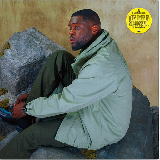 Varnish La Piscine – This Lake Is Successful (LP, Vinyl Record Album)