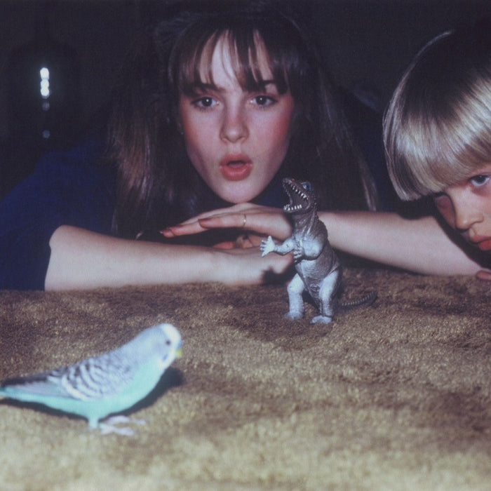 Big Thief – Masterpiece (LP, Vinyl Record Album)