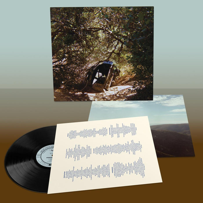 Ty Segall – Possession - Image 2