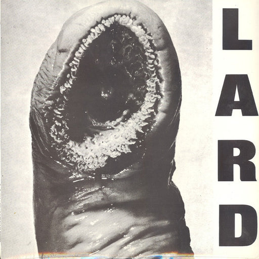 Lard – Power Of Lard EP (LP, Vinyl Record Album)