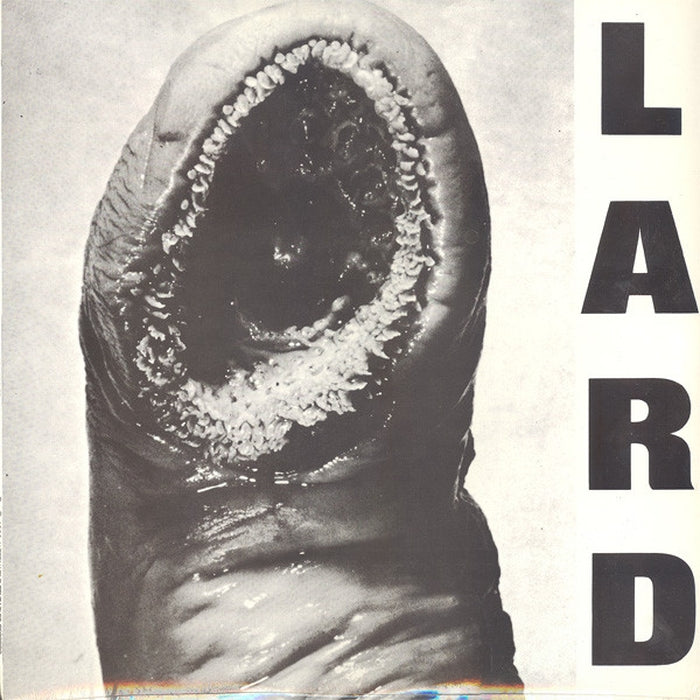 Lard – Power Of Lard EP (LP, Vinyl Record Album)