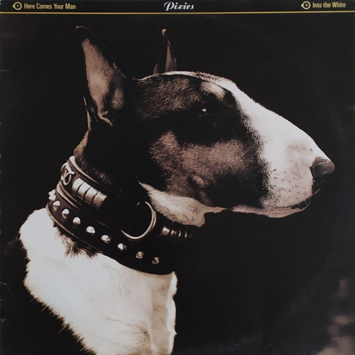 Pixies – Here Comes Your Man (LP, Vinyl Record Album)