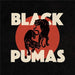 Black Pumas – Black Pumas (LP, Vinyl Record Album)