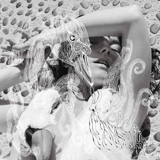 Björk – Vespertine (2xLP) (LP, Vinyl Record Album)