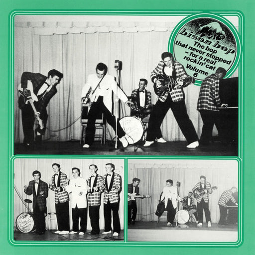 Various – Bison Bop: The Bop That Never Stopped - For A Real Rockin' Cat Volume 6 (LP, Vinyl Record Album)
