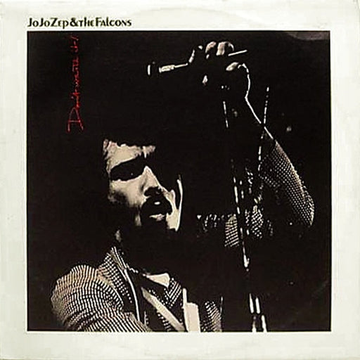 Jo Jo Zep and the Falcons – Don't Waste It (LP, Vinyl Record Album)